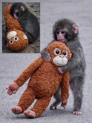 さゆりの写メ日記｜ローテンブルク 吉原高級店ソープ