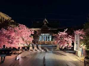 さゆりの写メ日記｜ローテンブルク 吉原高級店ソープ