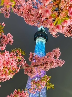 さゆりの写メ日記｜ローテンブルク 吉原高級店ソープ