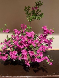 さゆりの写メ日記｜ローテンブルク 吉原高級店ソープ