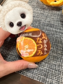 さゆりの写メ日記｜ローテンブルク 吉原高級店ソープ