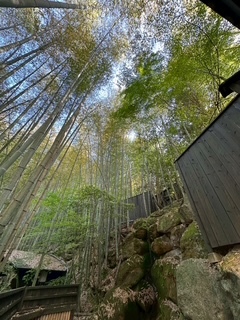 さゆりの写メ日記｜ローテンブルク 吉原高級店ソープ