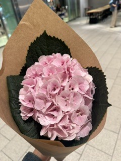 さゆりの写メ日記｜ローテンブルク 吉原高級店ソープ