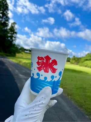 紀香の写メ日記｜ローテンブルク 吉原高級店ソープ