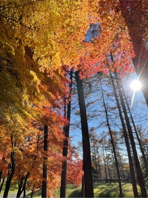 紀香の写メ日記｜ローテンブルク 吉原高級店ソープ