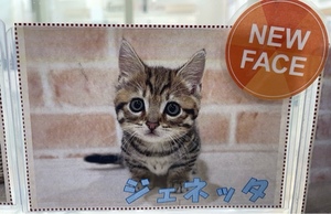 紀香の写メ日記｜ローテンブルク 吉原高級店ソープ