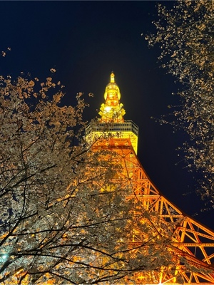 紀香の写メ日記｜ローテンブルク 吉原高級店ソープ