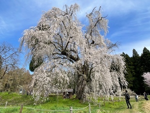 紀香の写メ日記｜ローテンブルク 吉原高級店ソープ