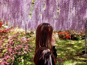 紀香の写メ日記｜ローテンブルク 吉原高級店ソープ