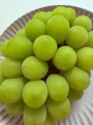 安西めぐみの写メ日記｜ローテンブルク 吉原高級店ソープ