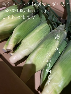 湊 かすみの写メ日記｜ローテンブルク 吉原高級店ソープ