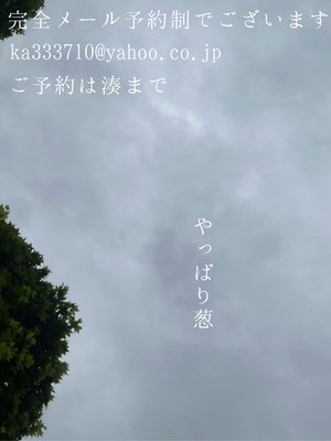 湊 かすみの写メ日記｜ローテンブルク 吉原高級店ソープ