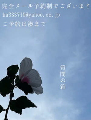 湊 かすみの写メ日記｜ローテンブルク 吉原高級店ソープ