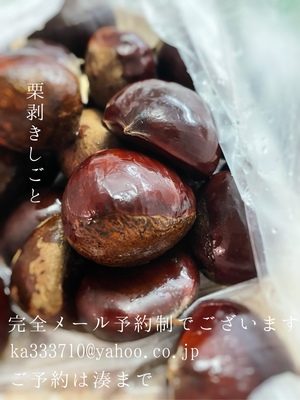 湊 かすみの写メ日記｜ローテンブルク 吉原高級店ソープ