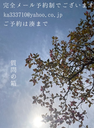 湊 かすみの写メ日記｜ローテンブルク 吉原高級店ソープ