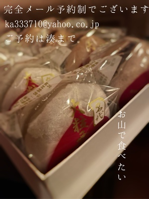 湊 かすみの写メ日記｜ローテンブルク 吉原高級店ソープ