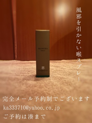 湊 かすみの写メ日記｜ローテンブルク 吉原高級店ソープ