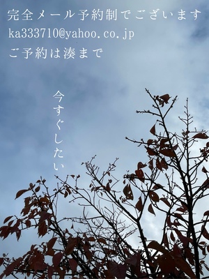 湊 かすみの写メ日記｜ローテンブルク 吉原高級店ソープ