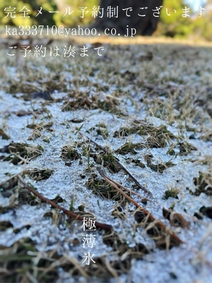 湊 かすみの写メ日記｜ローテンブルク 吉原高級店ソープ