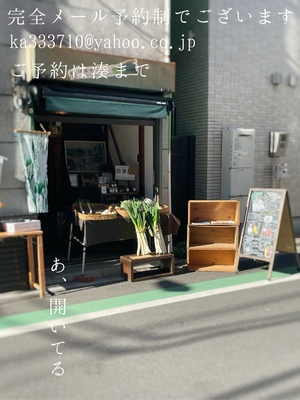 湊 かすみの写メ日記｜ローテンブルク 吉原高級店ソープ