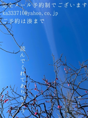 湊 かすみの写メ日記｜ローテンブルク 吉原高級店ソープ