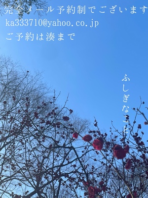 湊 かすみの写メ日記｜ローテンブルク 吉原高級店ソープ