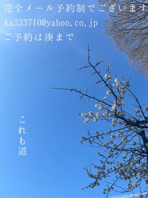 湊 かすみの写メ日記｜ローテンブルク 吉原高級店ソープ