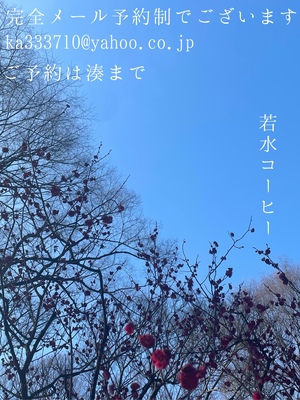 湊 かすみの写メ日記｜ローテンブルク 吉原高級店ソープ