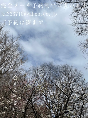 湊 かすみの写メ日記｜ローテンブルク 吉原高級店ソープ