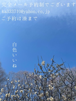 湊 かすみの写メ日記｜ローテンブルク 吉原高級店ソープ