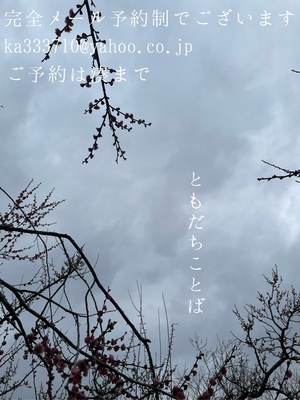 湊 かすみの写メ日記｜ローテンブルク 吉原高級店ソープ