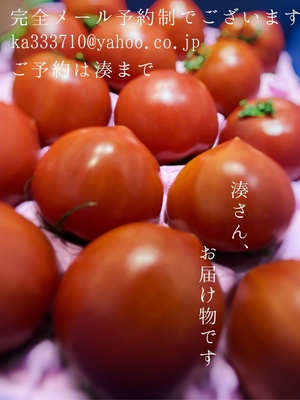 湊 かすみの写メ日記｜ローテンブルク 吉原高級店ソープ