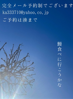 湊 かすみの写メ日記｜ローテンブルク 吉原高級店ソープ