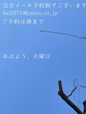 湊 かすみの写メ日記｜ローテンブルク 吉原高級店ソープ