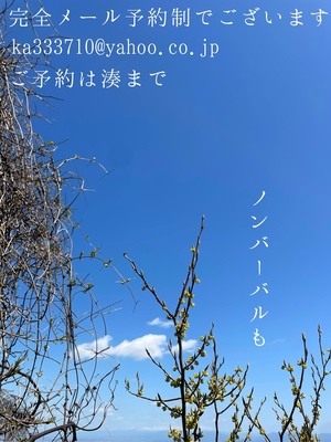 湊 かすみの写メ日記｜ローテンブルク 吉原高級店ソープ