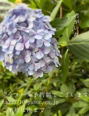 湊 かすみの写メ日記｜ローテンブルク 吉原高級店ソープ