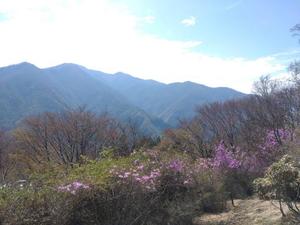 美咲りんかの写メ日記｜ローテンブルク 吉原高級店ソープ