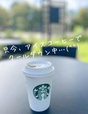 椎名由貴の写メ日記｜ローテンブルク 吉原高級店ソープ