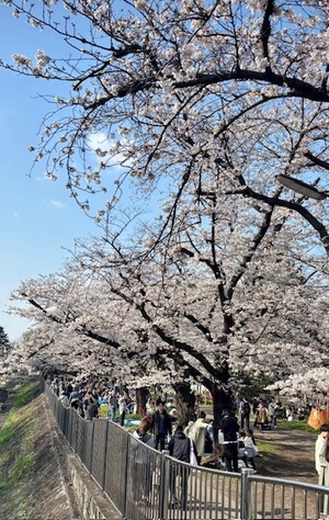里中あいりの写メ日記｜ローテンブルク 吉原高級店ソープ