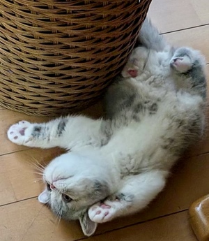 里中あいりの写メ日記｜ローテンブルク 吉原高級店ソープ