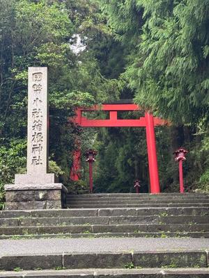 椿 こずえの写メ日記｜ローテンブルク 吉原高級店ソープ