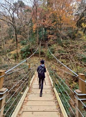 椿 こずえの写メ日記｜ローテンブルク 吉原高級店ソープ