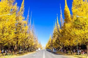 藤崎美奈の写メ日記｜ローテンブルク 吉原高級店ソープ