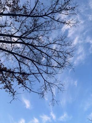 藤崎美奈の写メ日記|ローテンブルク 吉原高級店ソープ