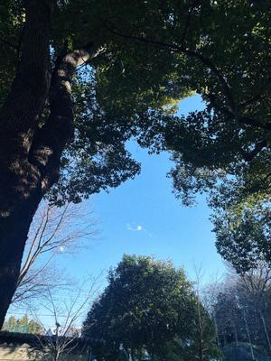 藤崎美奈の写メ日記｜ローテンブルク 吉原高級店ソープ