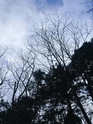 藤崎美奈の写メ日記｜ローテンブルク 吉原高級店ソープ