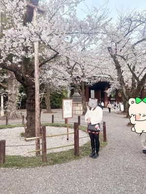 藤崎美奈の写メ日記|ローテンブルク 吉原高級店ソープ