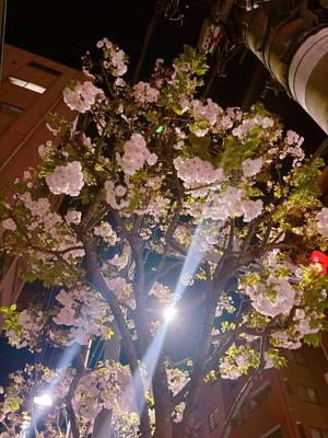 藤崎美奈の写メ日記｜ローテンブルク 吉原高級店ソープ