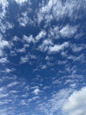 白瀬奈美の写メ日記｜ローテンブルク 吉原高級店ソープ