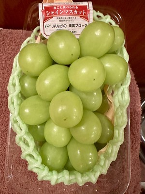 白瀬奈美の写メ日記｜ローテンブルク 吉原高級店ソープ